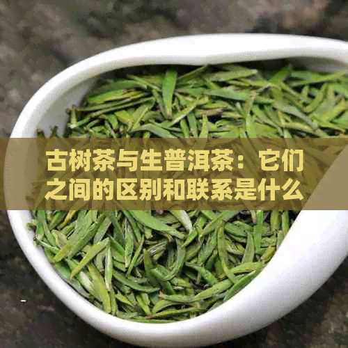 古树茶与生普洱茶：它们之间的区别和联系是什么？