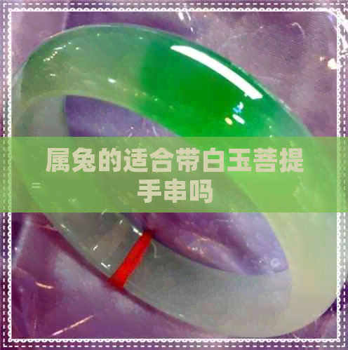 属兔的适合带白玉菩提手串吗