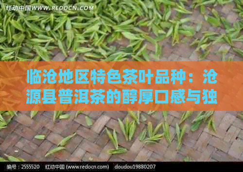 临沧地区特色茶叶品种：沧源县普洱茶的醇厚口感与独特风味