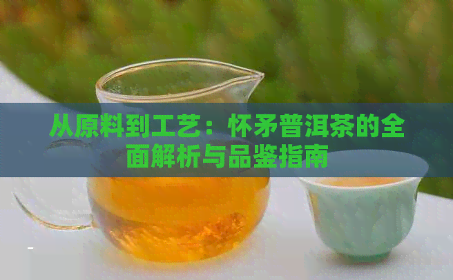 从原料到工艺：怀矛普洱茶的全面解析与品鉴指南