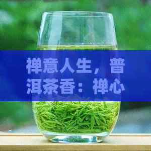 禅意人生，普洱茶香：禅心普洱茶之旅