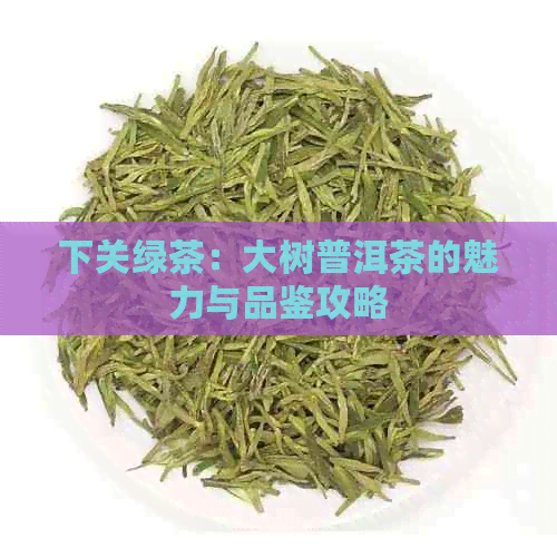 下关绿茶：大树普洱茶的魅力与品鉴攻略