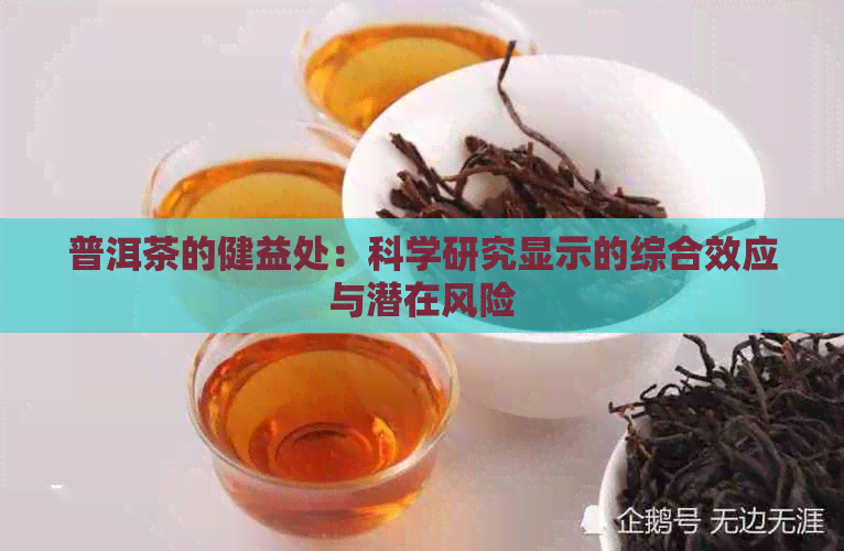 普洱茶的健益处：科学研究显示的综合效应与潜在风险