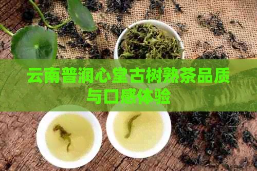 云南普润心堂古树熟茶品质与口感体验