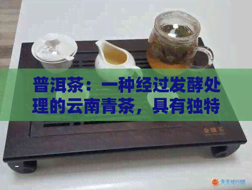 普洱茶：一种经过发酵处理的云南青茶，具有独特口感和功效