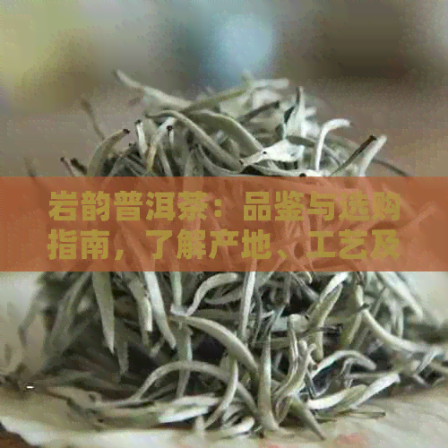 岩韵普洱茶：品鉴与选购指南，了解产地、工艺及口感等全方位信息