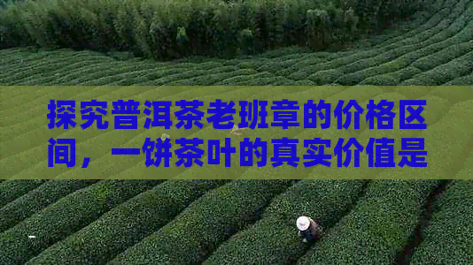 探究普洱茶老班章的价格区间，一饼茶叶的真实价值是多少？