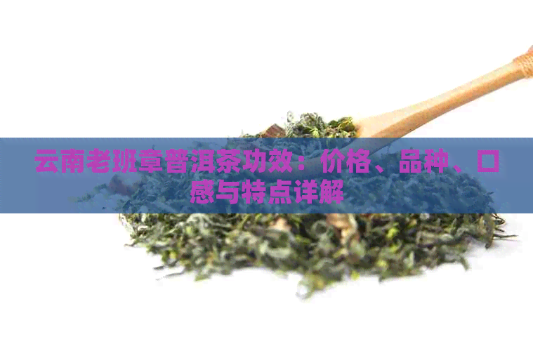 云南老班章普洱茶功效：价格、品种、口感与特点详解