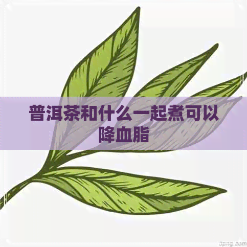 普洱茶和什么一起煮可以降血脂