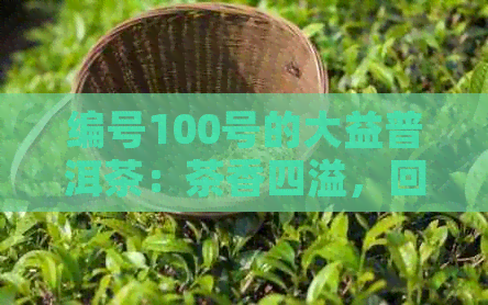 编号100号的大益普洱茶：茶香四溢，回味悠长的秘密