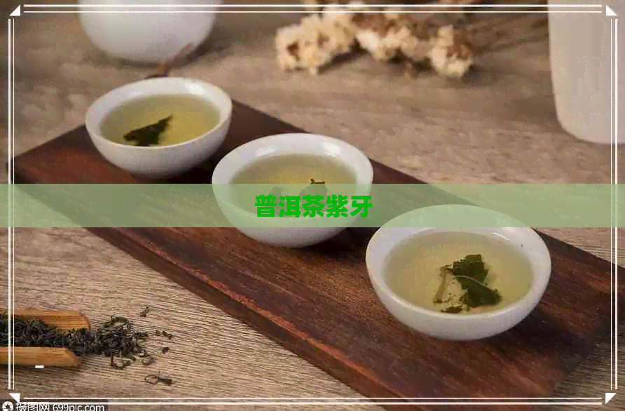 普洱茶紫牙