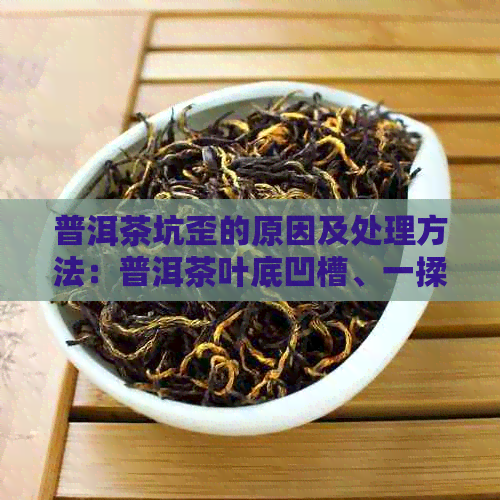 普洱茶坑歪的原因及处理方法：普洱茶叶底凹槽、一揉就烂，如何解决？