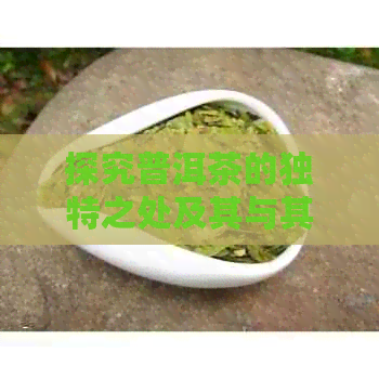 探究普洱茶的独特之处及其与其他茶叶的明显差别