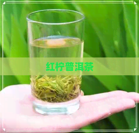 红柠普洱茶