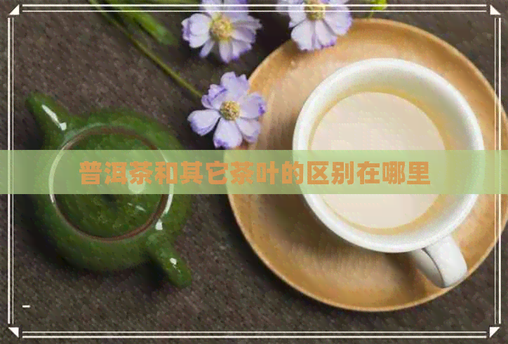 普洱茶和其它茶叶的区别在哪里