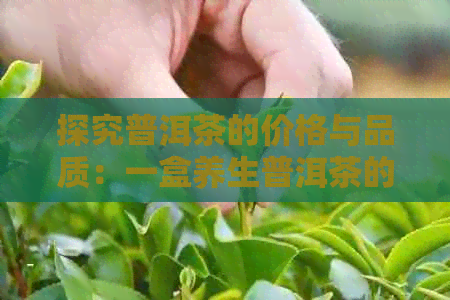 探究普洱茶的价格与品质：一盒养生普洱茶的综合性评价