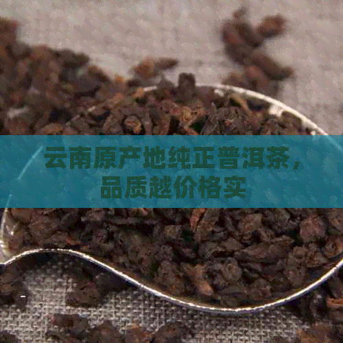 云南原产地纯正普洱茶，品质越价格实