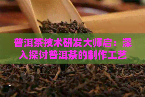 普洱茶技术研发大师启：深入探讨普洱茶的制作工艺、品饮技巧与健益处