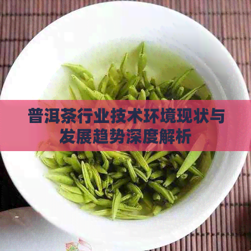 普洱茶行业技术环境现状与发展趋势深度解析