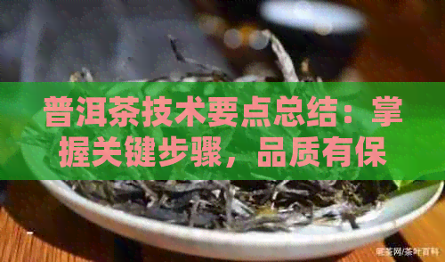 普洱茶技术要点总结：掌握关键步骤，品质有保障