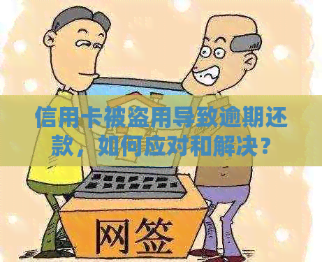 信用卡被盗用导致逾期还款，如何应对和解决？