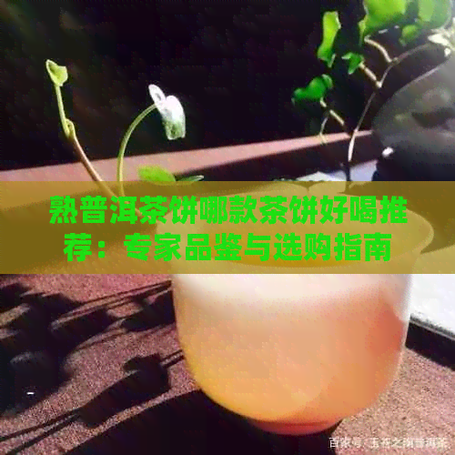 熟普洱茶饼哪款茶饼好喝推荐：专家品鉴与选购指南