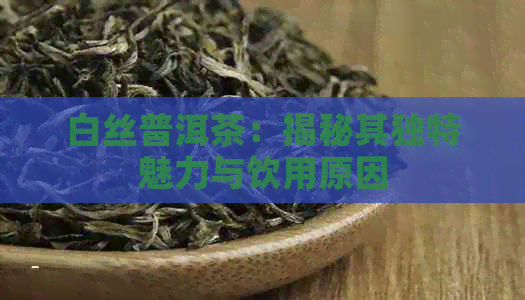 白丝普洱茶：揭秘其独特魅力与饮用原因