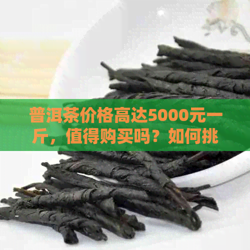 普洱茶价格高达5000元一斤，值得购买吗？如何挑选和鉴别优质普洱茶？