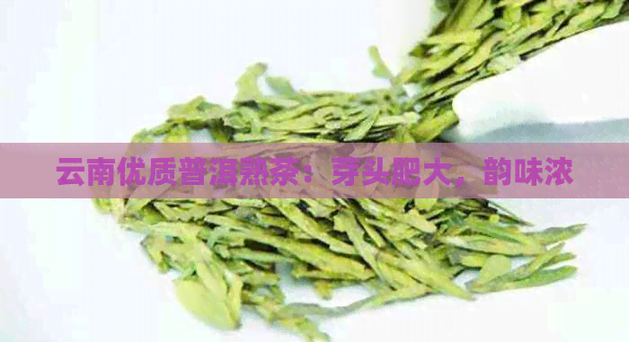 云南优质普洱熟茶：芽头肥大，韵味浓