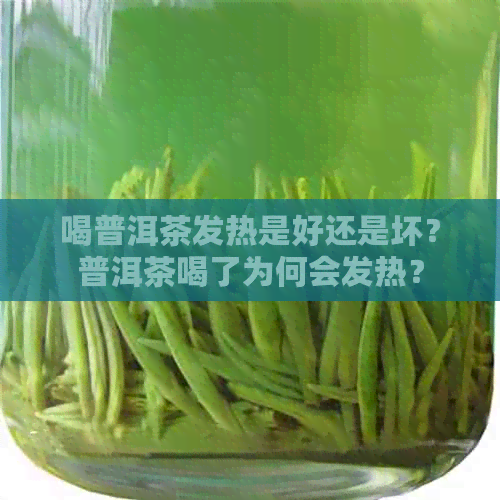 喝普洱茶发热是好还是坏？普洱茶喝了为何会发热？