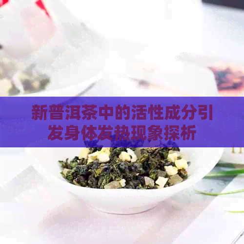 新普洱茶中的活性成分引发身体发热现象探析