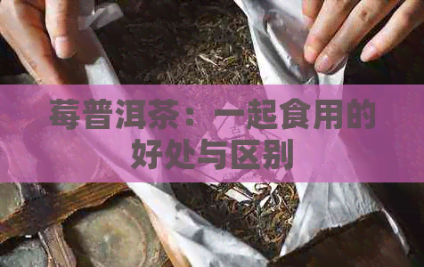 莓普洱茶：一起食用的好处与区别