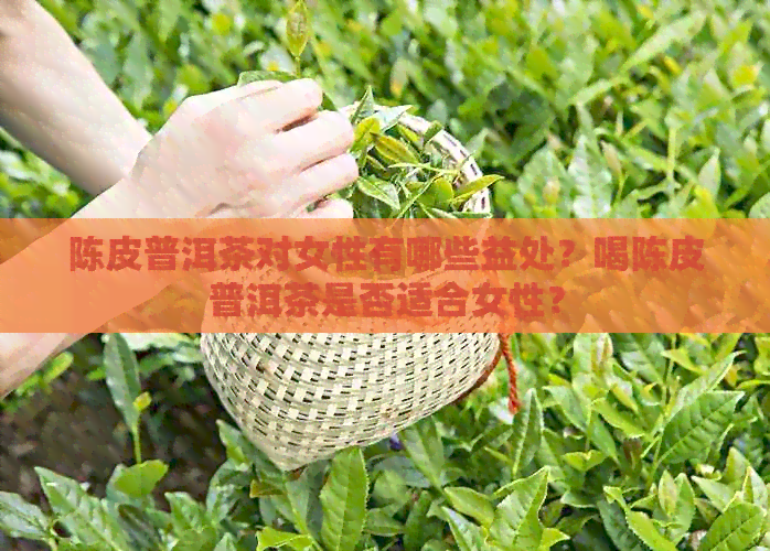 陈皮普洱茶对女性有哪些益处？喝陈皮普洱茶是否适合女性？