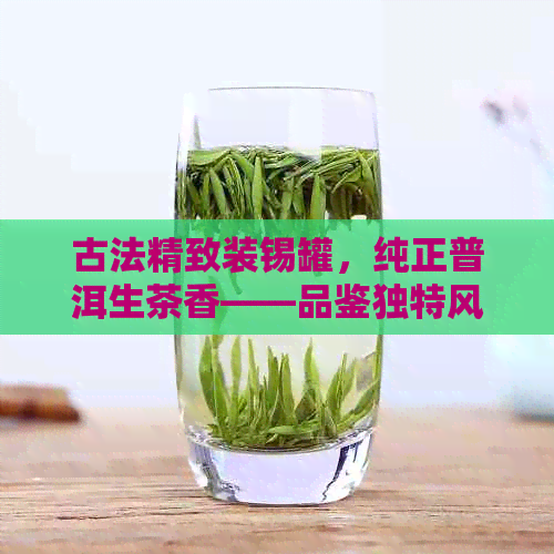 古法精致装锡罐，纯正普洱生茶香——品鉴独特风味