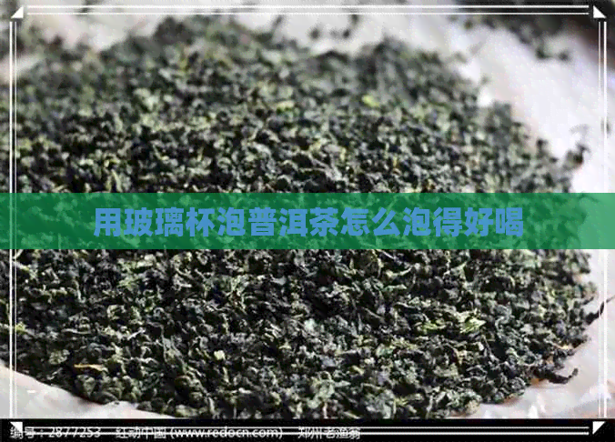 用玻璃杯泡普洱茶怎么泡得好喝