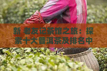 新 老友记茶馆之旅：探索十大普洱茶及排名中的老友记特别款