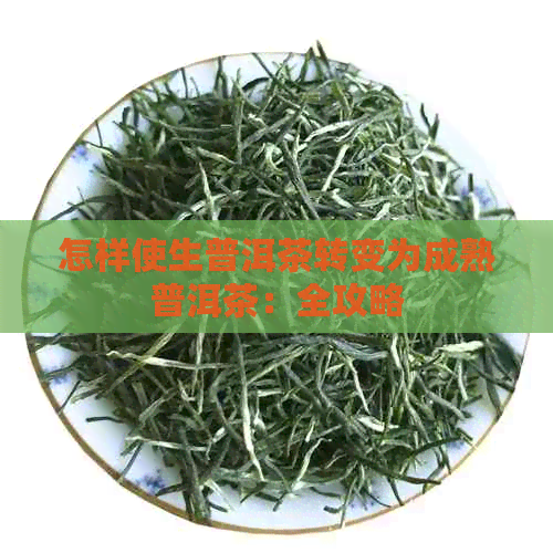 怎样使生普洱茶转变为成熟普洱茶：全攻略