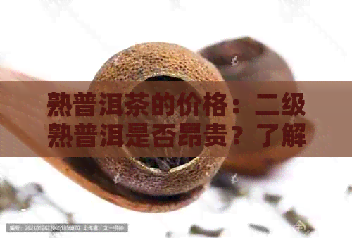 熟普洱茶的价格：二级熟普洱是否昂贵？了解市场价格与品质对比