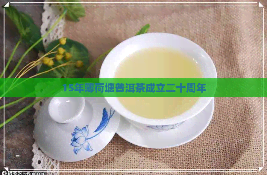 15年薄荷塘普洱茶成立二十周年