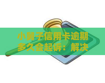 小舅子信用卡逾期多久会起诉：解决策略与影响分析