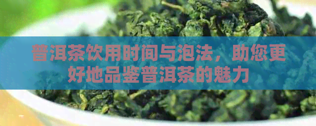 普洱茶饮用时间与泡法，助您更好地品鉴普洱茶的魅力