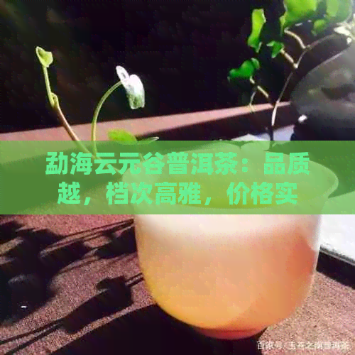 勐海云元谷普洱茶：品质越，档次高雅，价格实