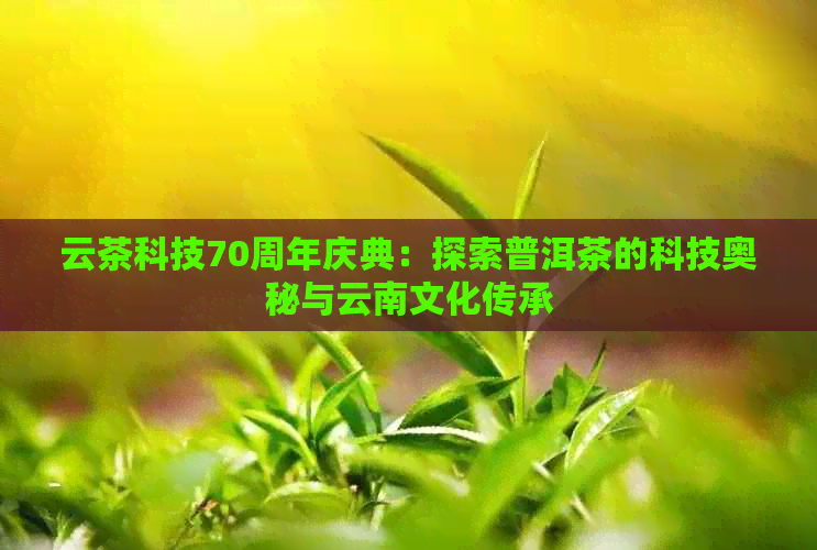 云茶科技70周年庆典：探索普洱茶的科技奥秘与云南文化传承