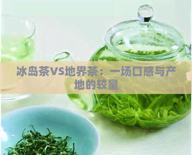 冰岛茶VS地界茶：一场口感与产地的较量