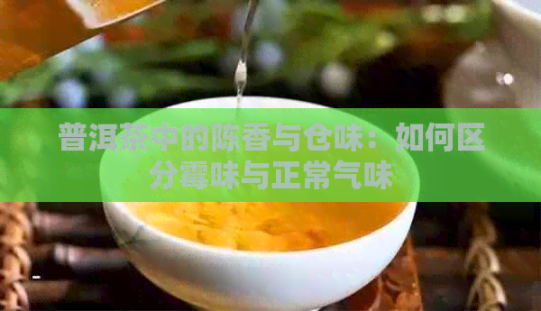 普洱茶中的陈香与仓味：如何区分霉味与正常气味