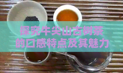 探究牛尖山古树茶的口感特点及其魅力所在：一份全面指南