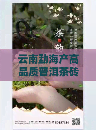 云南勐海产高品质普洱茶砖，批发价格实，老班章茶品供应充足