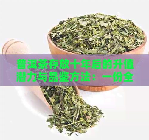 普洱茶存放十年后的升值潜力与品鉴方法：一份全面的指南