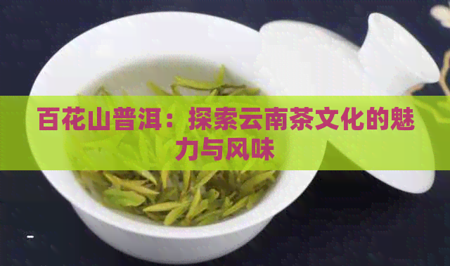 百花山普洱：探索云南茶文化的魅力与风味