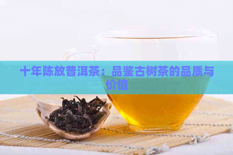 十年陈放普洱茶：品鉴古树茶的品质与价值